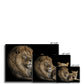 The Noble Trio Canvas