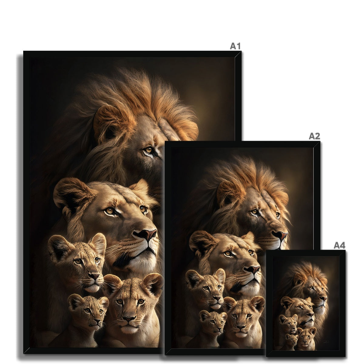 Lion's Heritage Framed Print