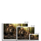 Kings and Cubs Canvas Print