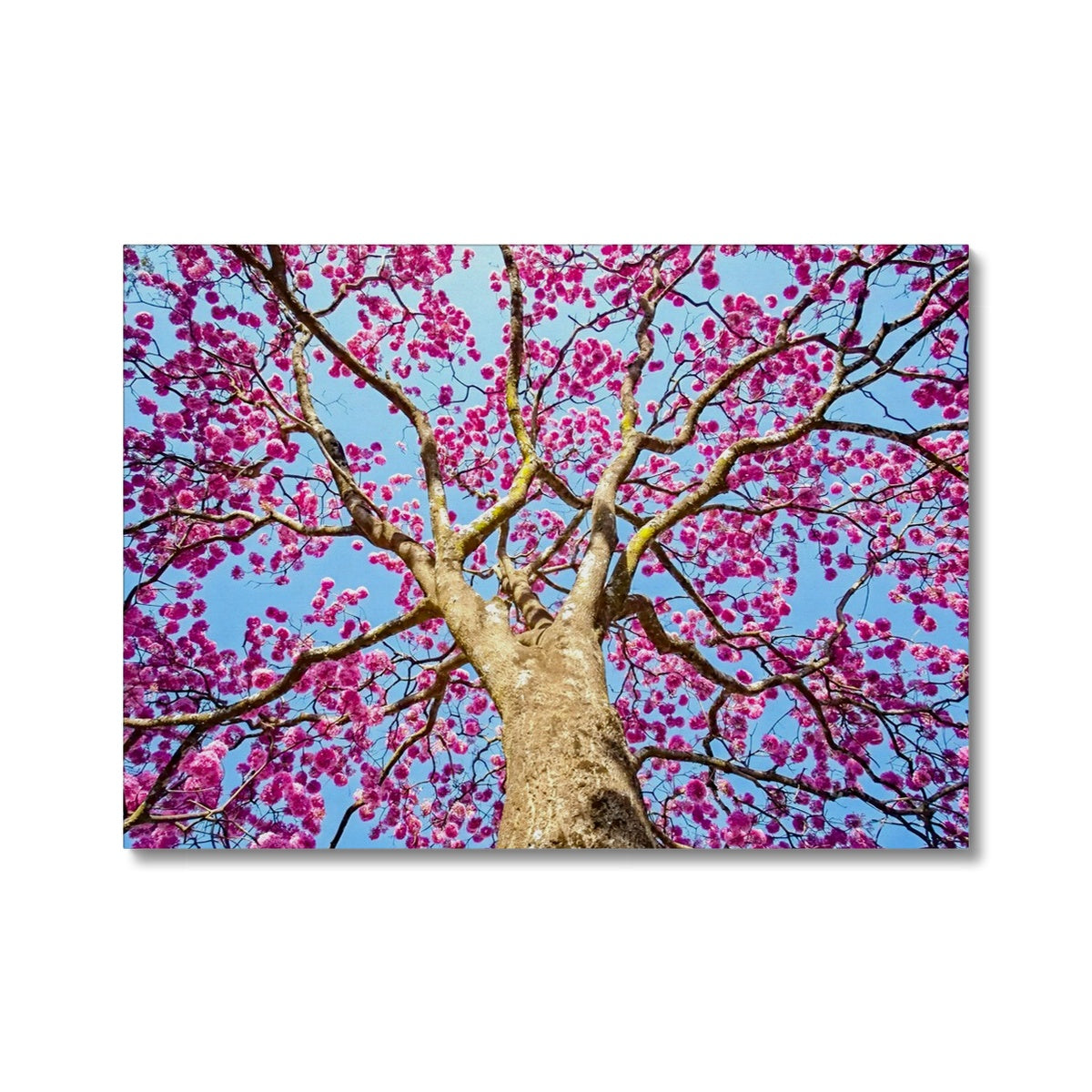The Blooming Canopy Canvas