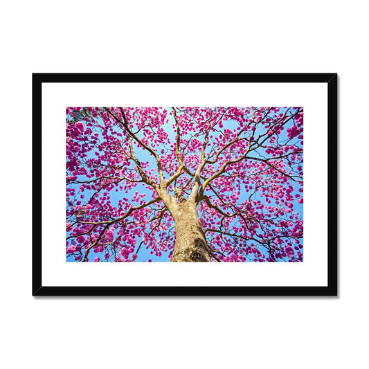 The Blooming Canopy Framed & Mounted Print