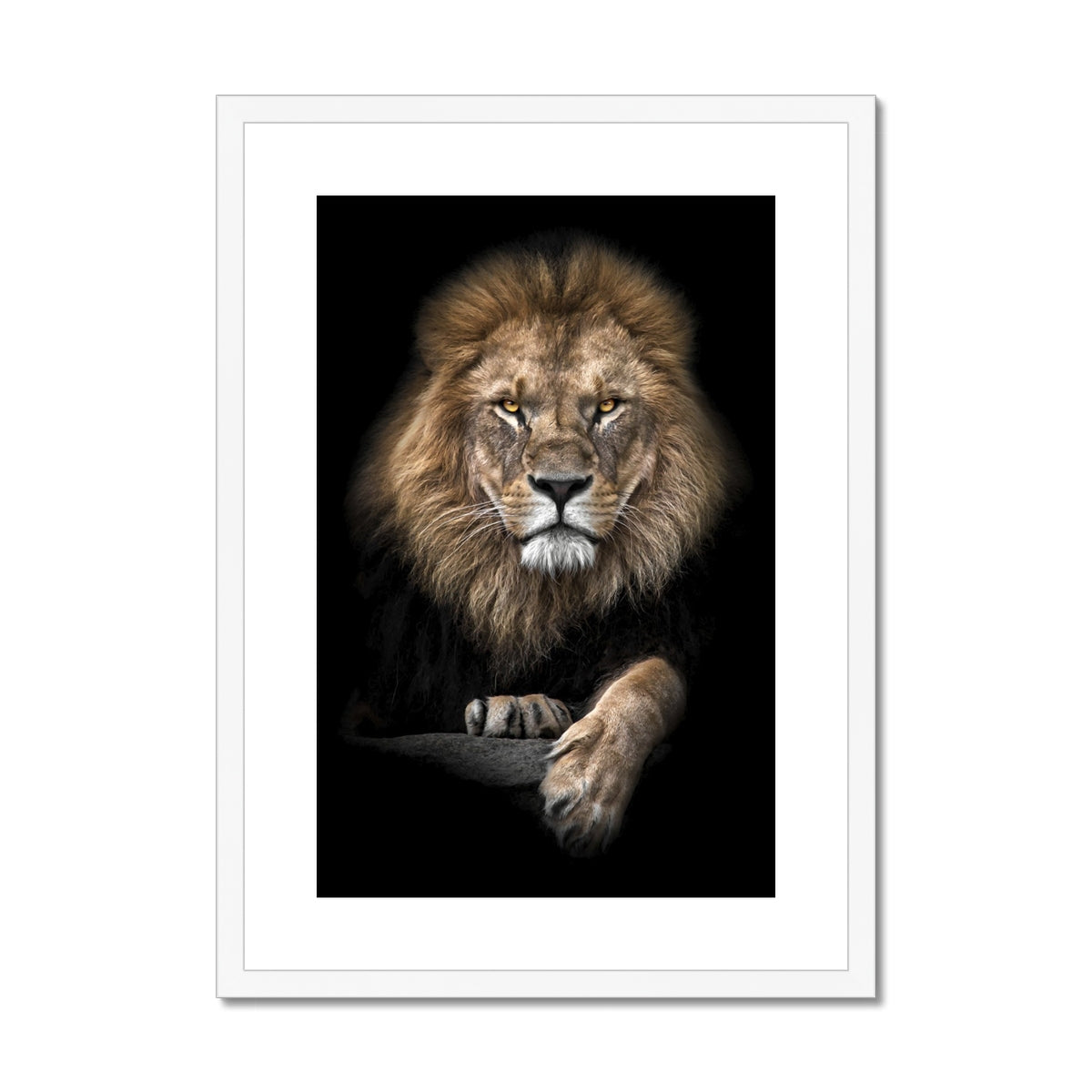 King of Beasts Framed & Mounted Print