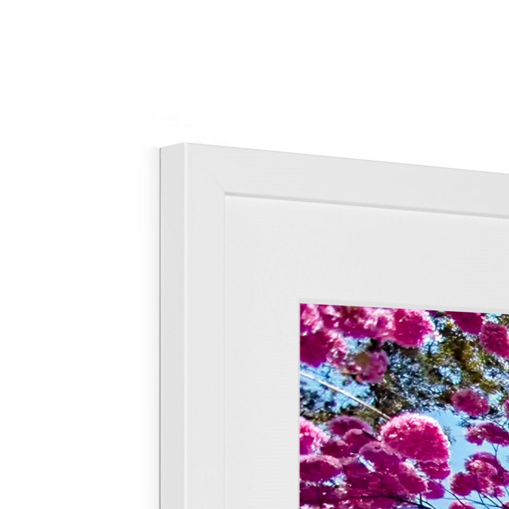 The Blooming Canopy Framed & Mounted Print