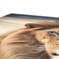 Savannah Canvas