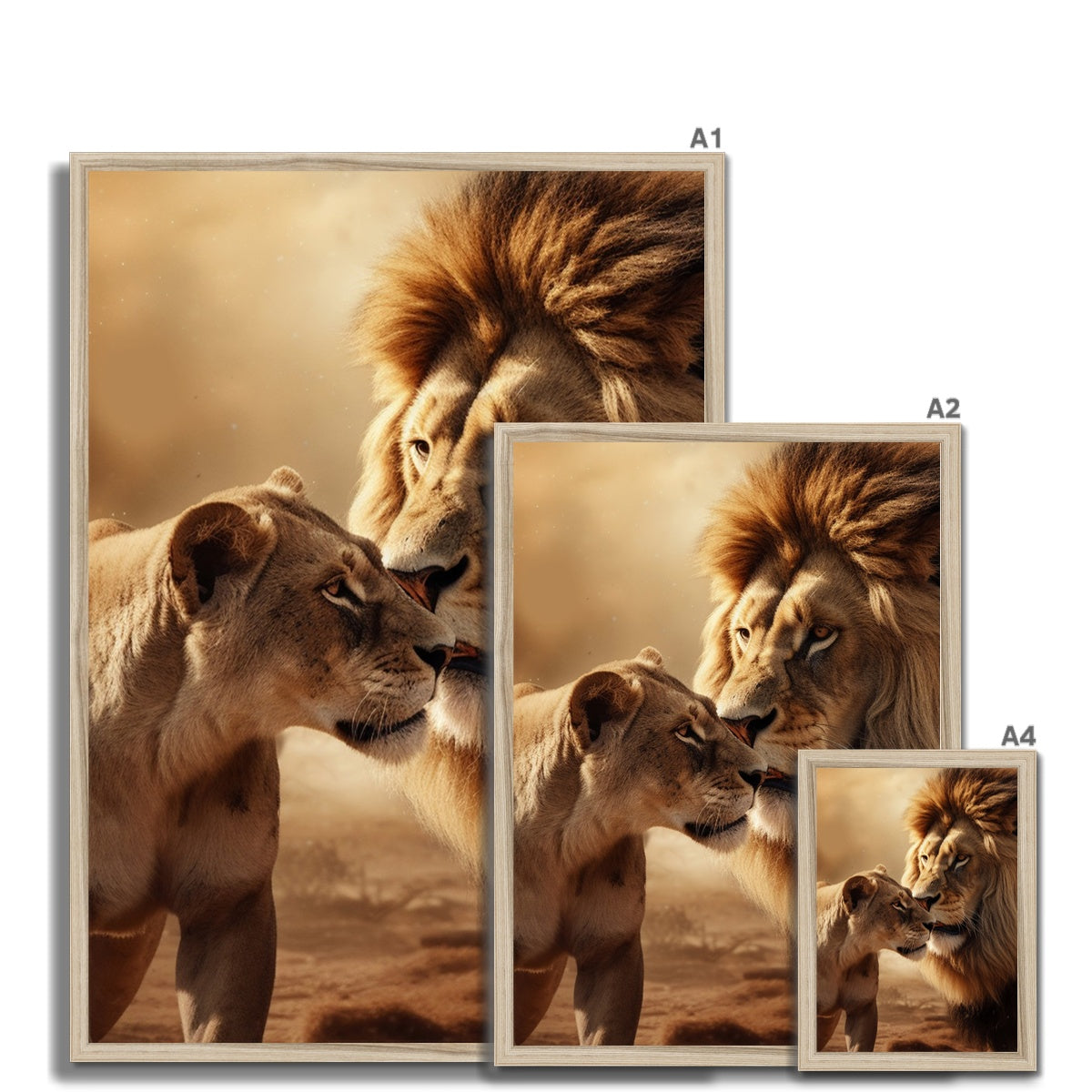 Regal Love Framed Print