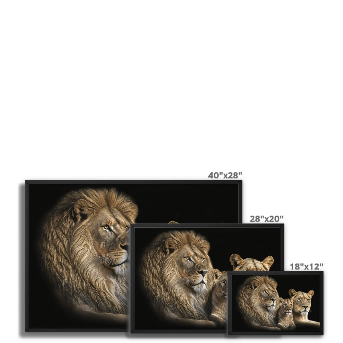 The Noble Trio Float Framed Canvas