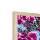 The Blooming Canopy Framed Print