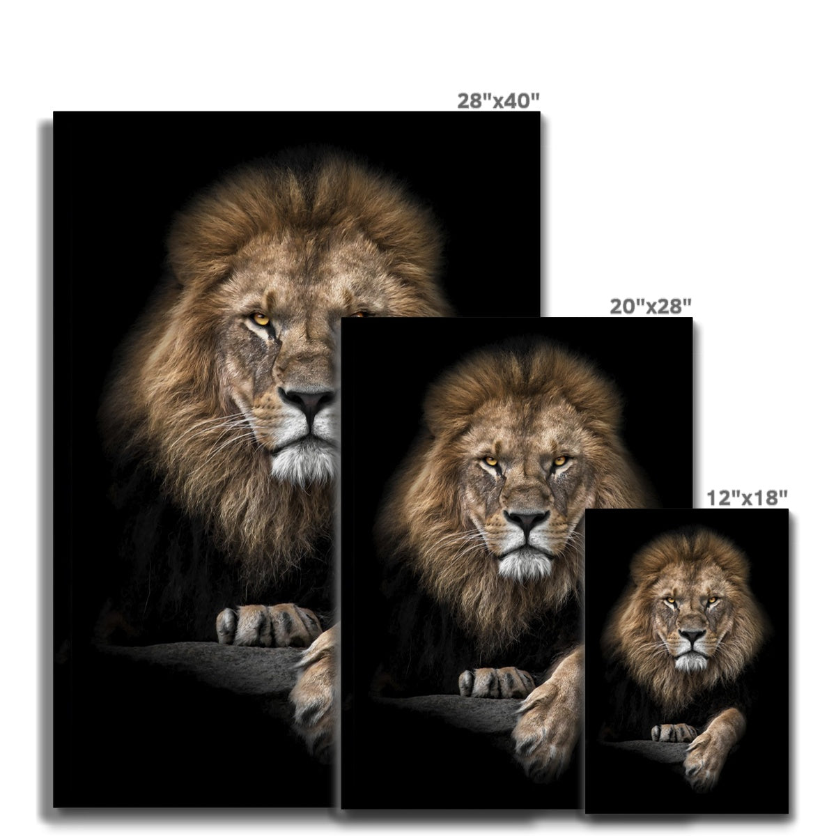 King of Beasts Canvas