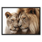 Royal Affection Float Framed Canvas