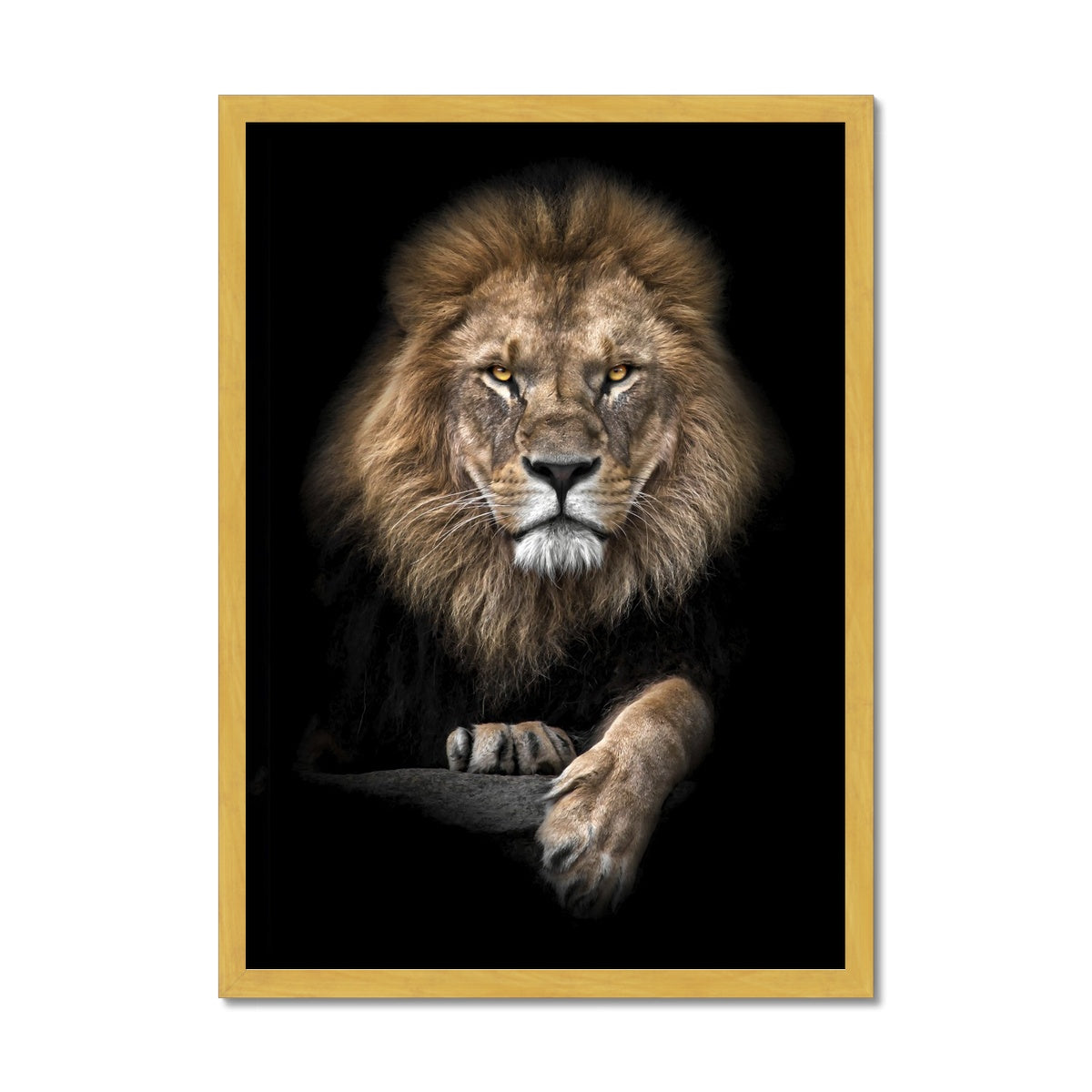 King of Beasts Antique Framed Print