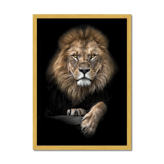 King of Beasts Antique Framed Print