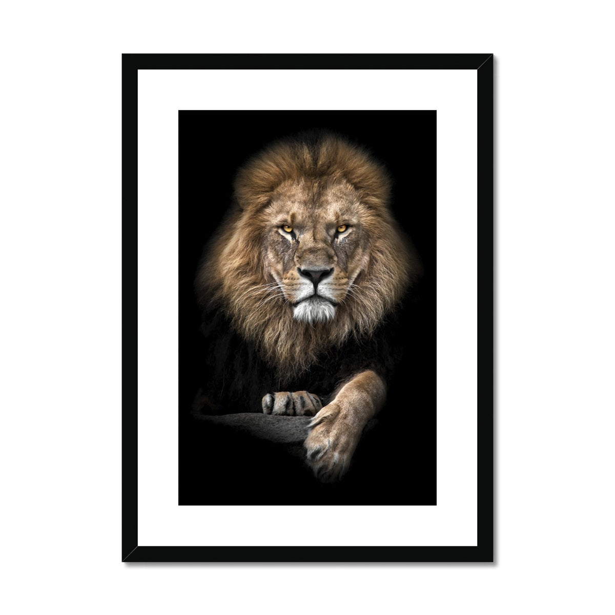 King of Beasts Framed & Mounted Print