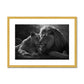 Pride's Embrace Antique Framed & Mounted Print