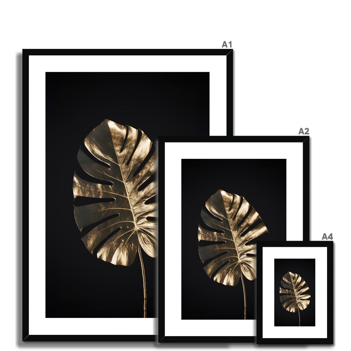 Golden Monstera  Framed & Mounted Print