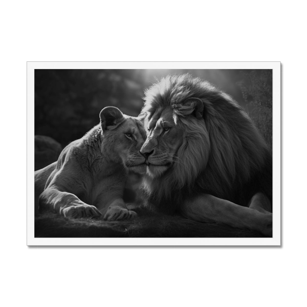 Pride's Embrace Framed Print