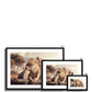 Kings of the Wild Framed & Mounted Print