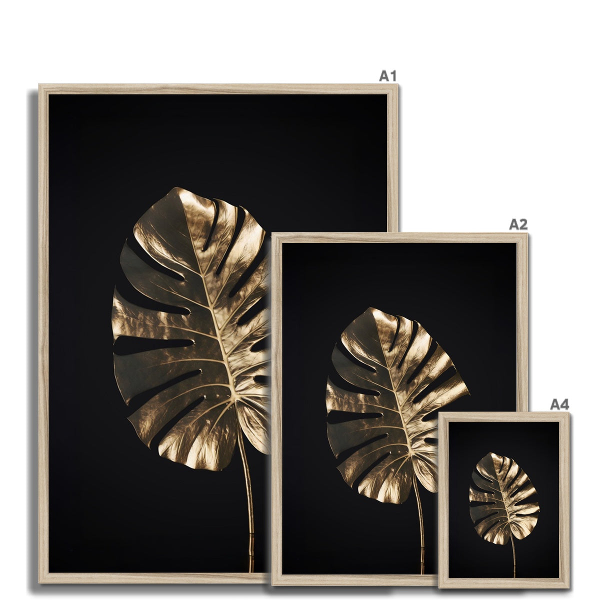 Golden Monstera  Framed Print