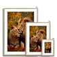 Majestic Companions Framed Print