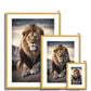 Savannah Antique Framed & Mounted Print