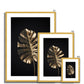 Golden Monstera  Antique Framed & Mounted Print