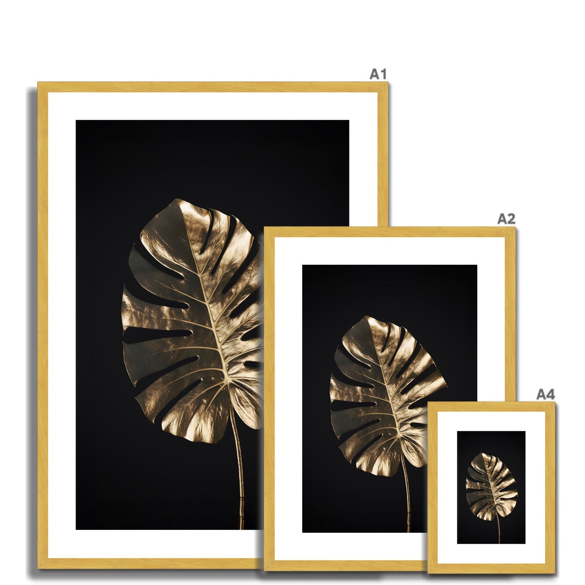 Golden Monstera  Antique Framed & Mounted Print