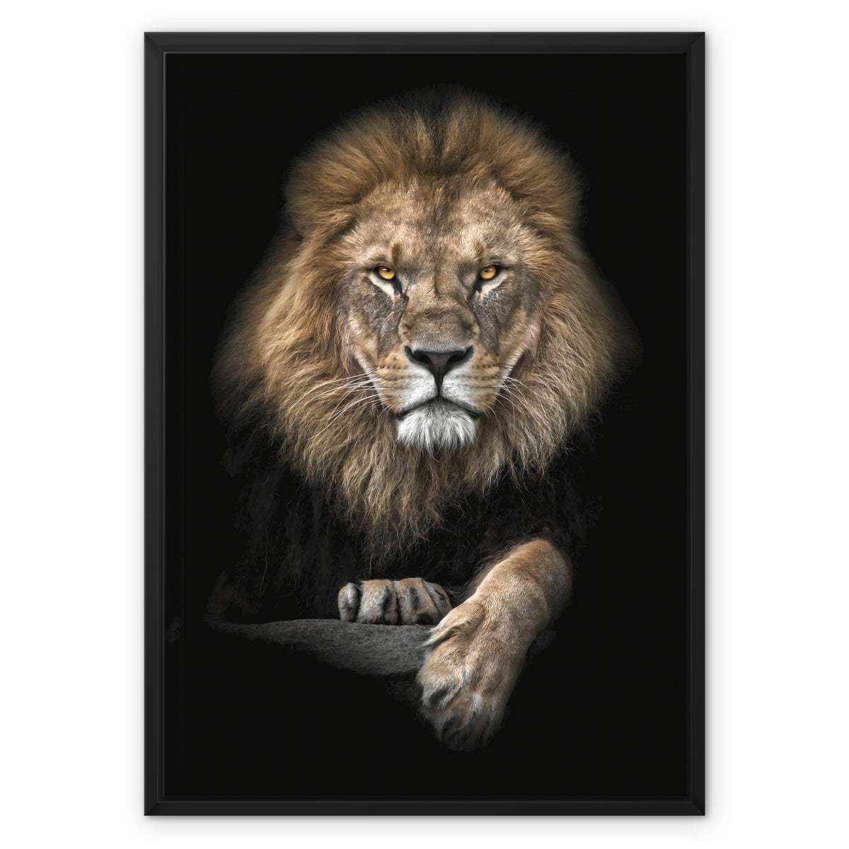 King of Beasts Float Framed Canvas