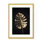Golden Monstera  Antique Framed & Mounted Print