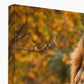 Majestic Companions Framed Canvas