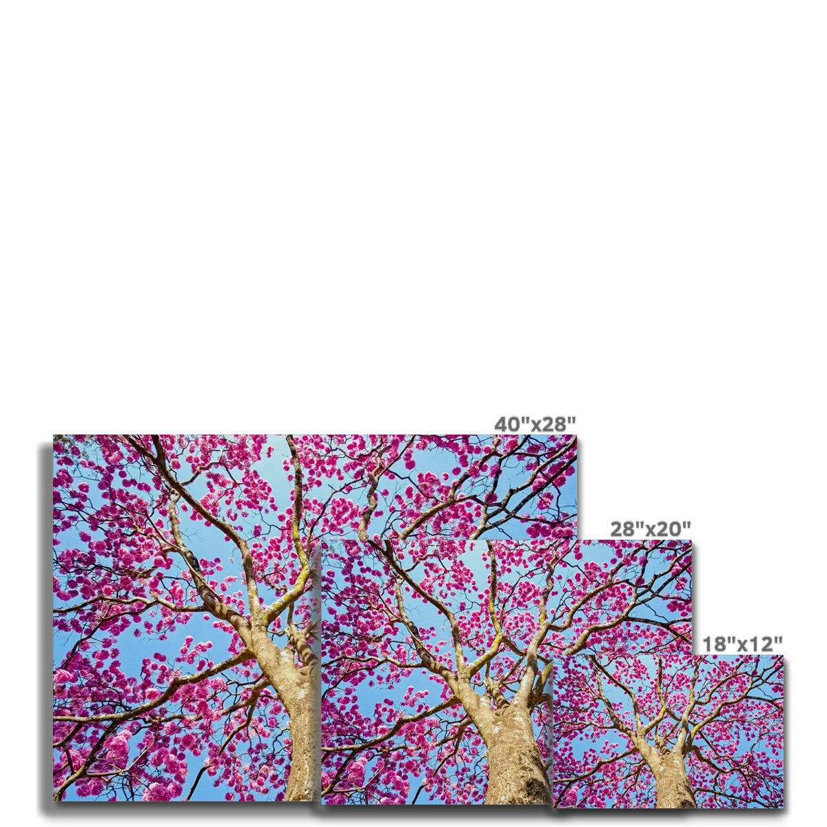 The Blooming Canopy Canvas