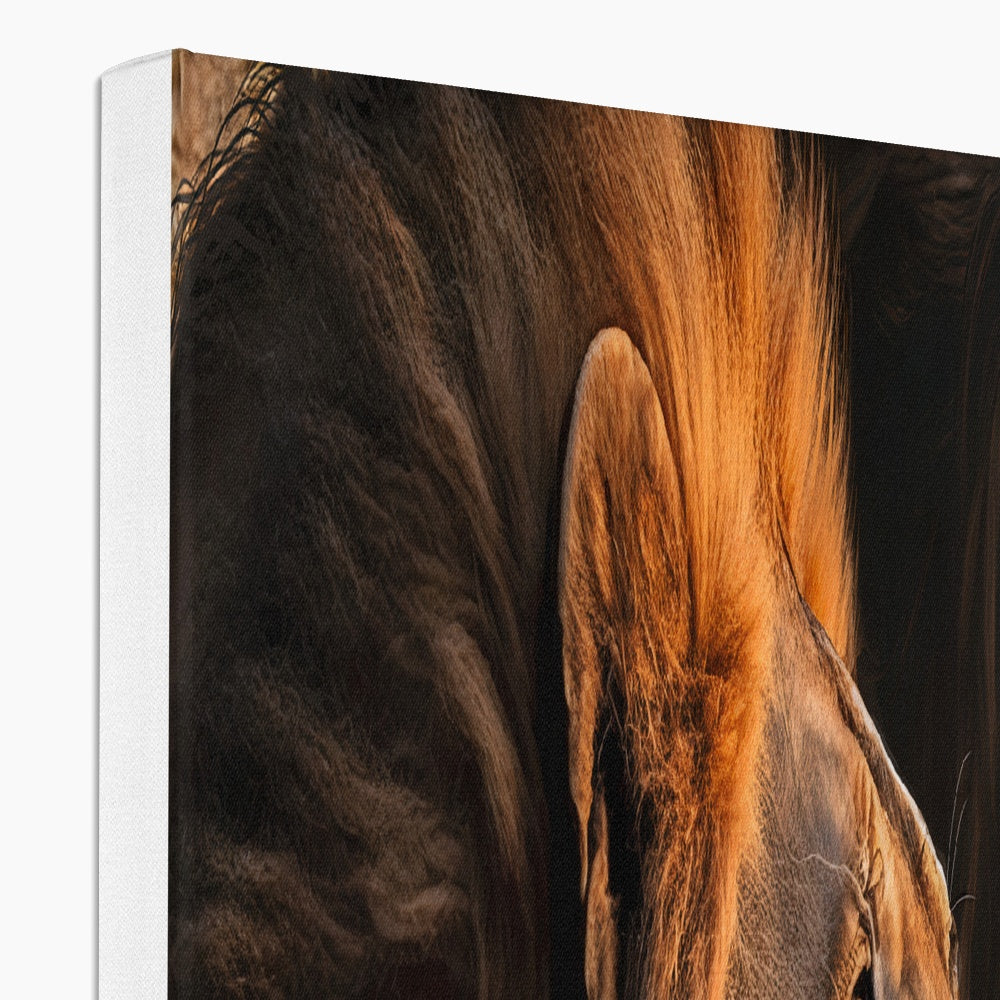The Power and the Glory Canvas