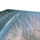 Intimate Whispers Canvas