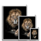 King of Beasts Antique Framed Print