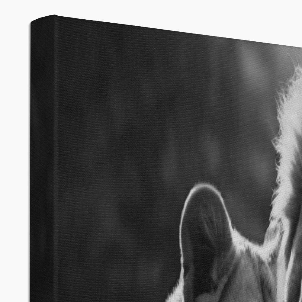 Pride's Embrace Canvas