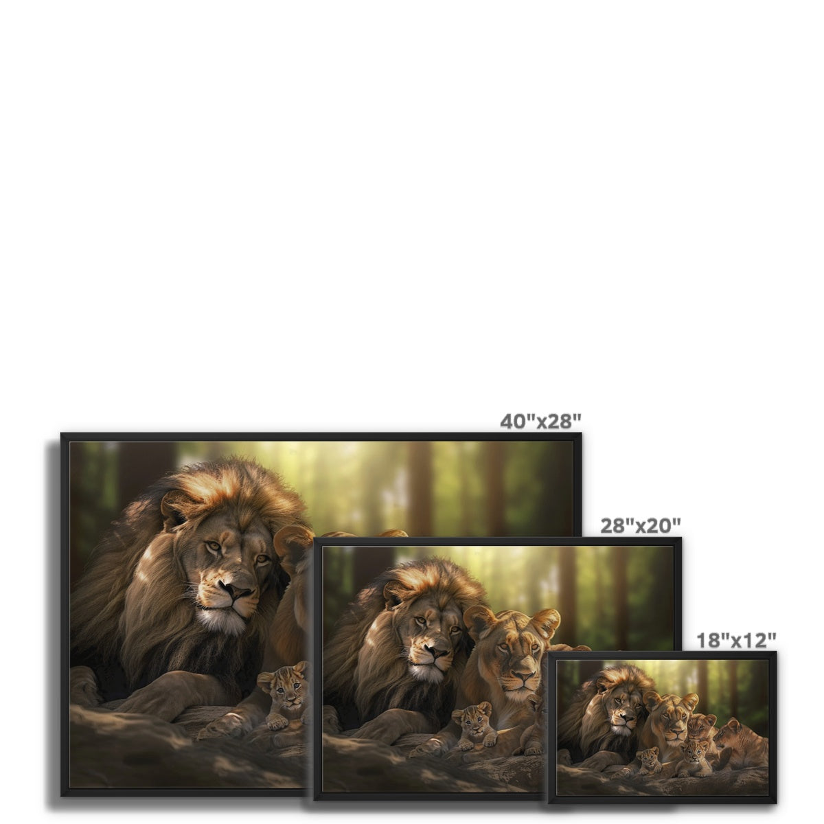 Kings and Cubs Float Framed Canvas