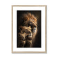 The Majestic Pride Framed Print