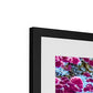 The Blooming Canopy Framed & Mounted Print