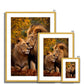 Majestic Companions Antique Framed Print