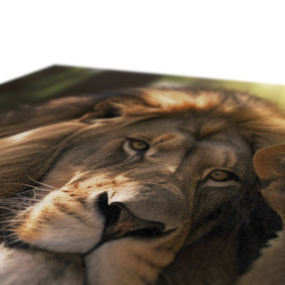 Kings and Cubs Canvas