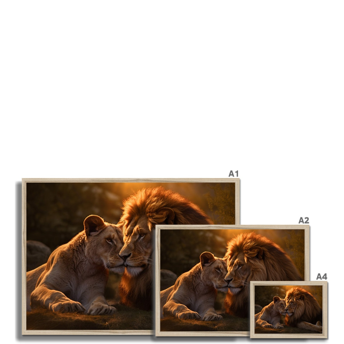 The Lion's Bond Framed Print