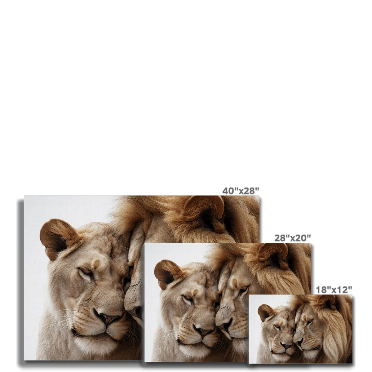 Royal Affection Canvas