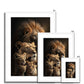 Lion's Heritage Framed & Mounted Print