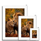 Majestic Companions Framed Print