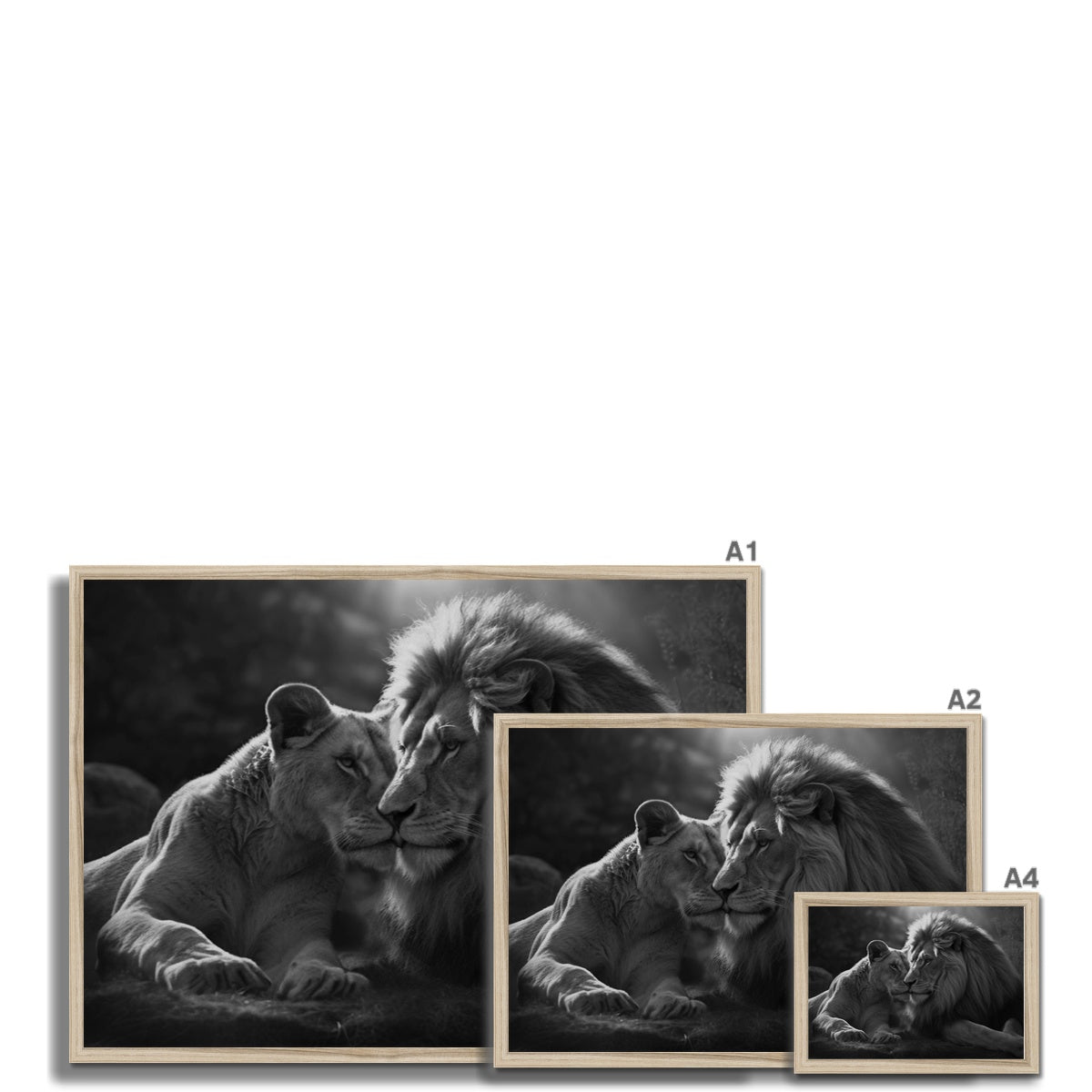 Pride's Embrace Framed Print