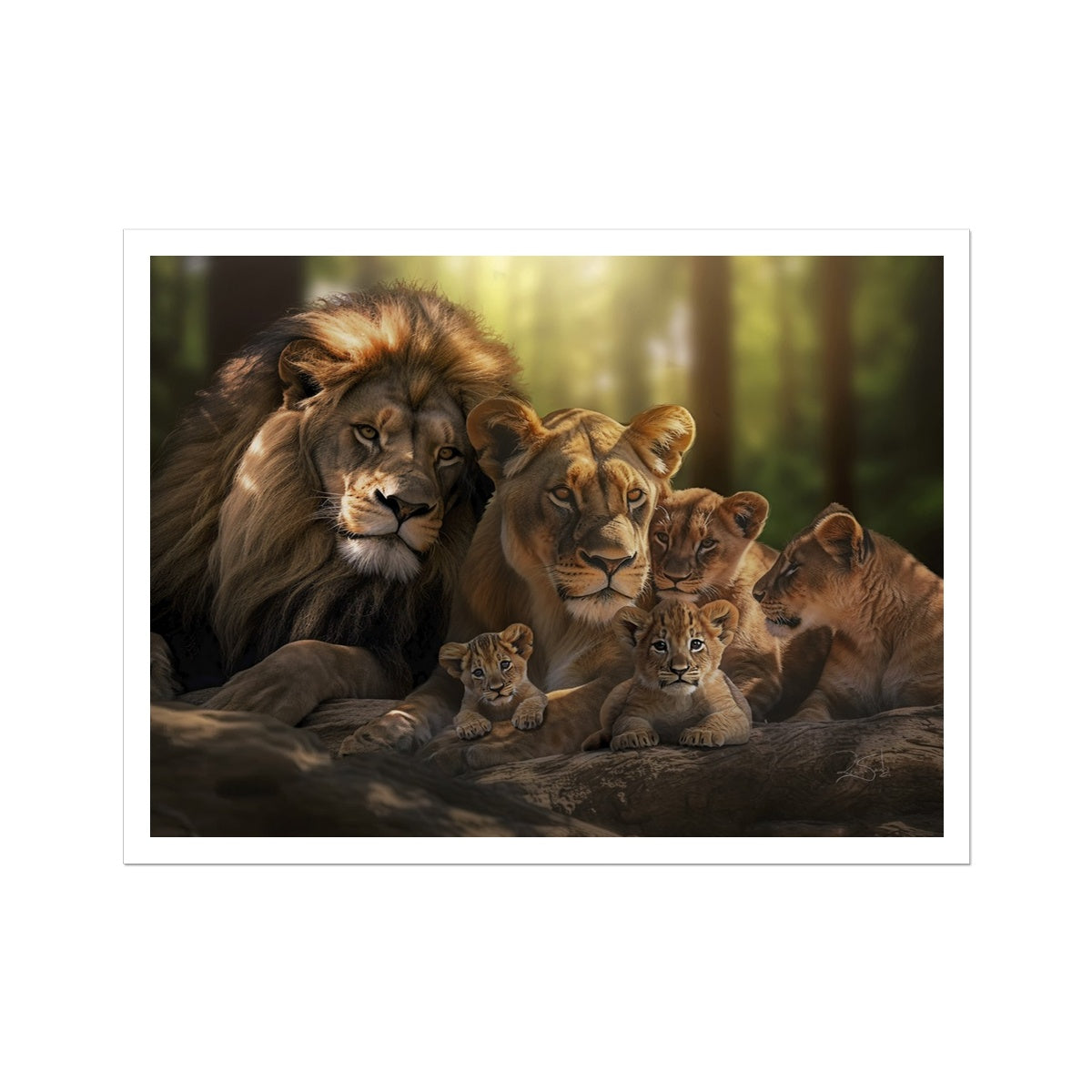 Kings and Cubs Canvas Print