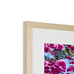 The Blooming Canopy Framed & Mounted Print