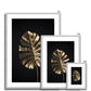 Golden Monstera  Antique Framed & Mounted Print