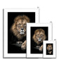 King of Beasts Framed & Mounted Print