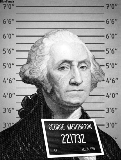 Mug Shot George Washington