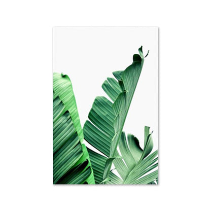 Monstera Leaf Banana Palm Canvas Prints