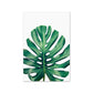 Monstera Leaf Banana Palm Canvas Prints